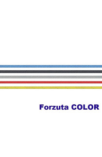 FORZUTA COLOR