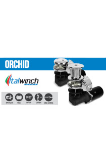 VERRICELLO ITALWINCH ORCHID