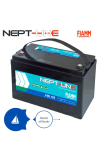 BATTERIE PER SERVIZI FIAMM AGM