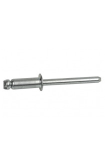 RIVETTI MONEL