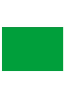 BANDIERA DI SEGNALAZIONE VERDE