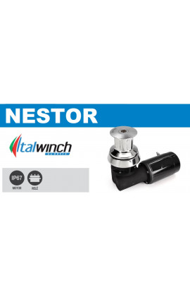 VERRICELLO DI TONNEGGIO NESTOR