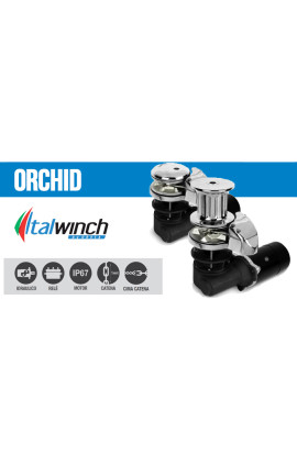 VERRICELLO ITALWINCH ORCHID