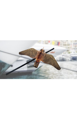 STOPGULL FALCON