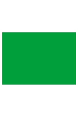 BANDIERA DI SEGNALAZIONE VERDE